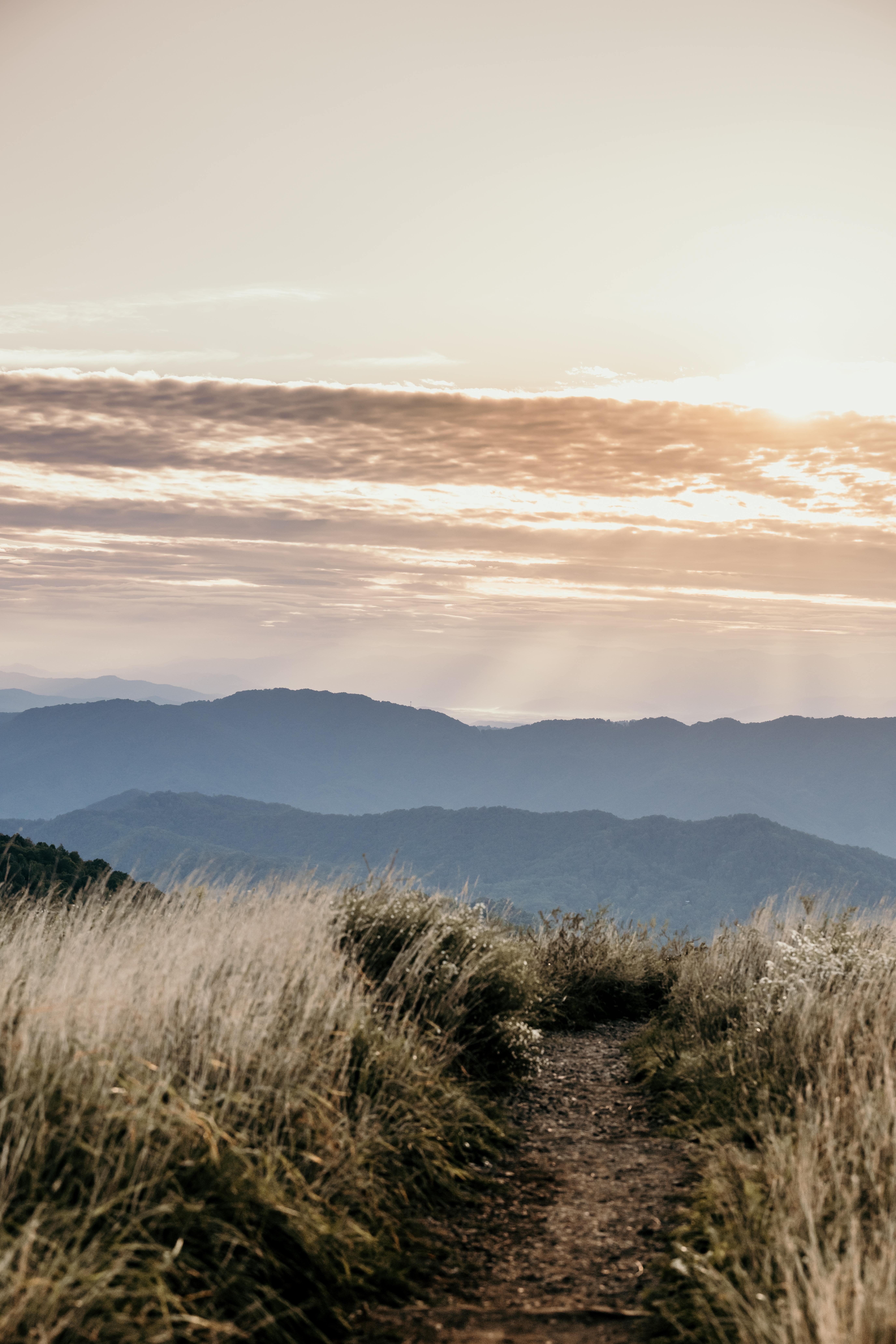 Mountains, fields, sunrise, couples photography, mountaintop, tall grass, dirt path, best photo locations.